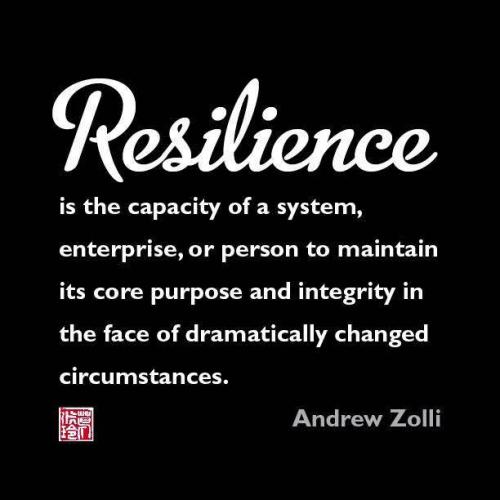 RESILIENCE